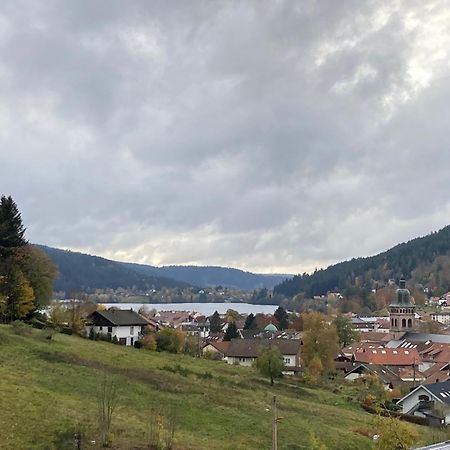 Entre Lac Et Pistes De Ski Gérardmer Dış mekan fotoğraf